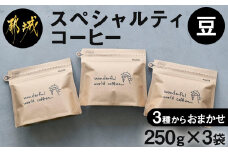 スペシャルティコーヒー(豆)250g×3袋セット_23-C502_(都城市) コーヒー豆 ダークロースト・ミディアムロースト・ライトロースト お任せで3袋 計750g 珈琲豆 コーヒー専門店