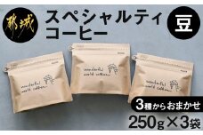 スペシャルティコーヒー(豆)250g×3袋セット_23-C502_(都城市) コーヒー豆 ダークロースト・ミディアムロースト・ライトロースト お任せで3袋 計750g 珈琲豆 コーヒー専門店