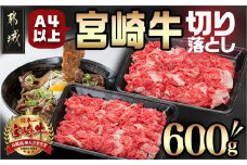 宮崎牛切り落とし600g_AA-8909_(都城市) 国産黒毛和牛 ブランド牛 牛肉 宮崎牛切落とし肉 300g×2パック 計600グラム 牛丼 炒め物 万能 冷凍 国産 九州産 宮崎県産 都城産