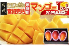 宮崎完熟マンゴー家庭用1kg以上(都城産)_MJ-3311_(都城市) 特大4Lサイズ(500g以上)2玉 L～3Lサイズ3玉～5玉など組合わせで合計1kg以上 宮崎マンゴー 発送準備が整い次第お届け 産地直送 規格外