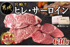 宮崎牛ヒレ・サーロインステーキ640g_AD-2504_(都城市) 食べ比べ 牛肉 ブランド牛 ヒレステーキ 120g×2枚 サーロインステーキ 200g×2枚 ソース 塩コショウ 真空パック 希少部位
