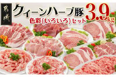 「クイーンハーブ豚」色彩(いろいろ)3.9kgセット_AD-2903_(都城市) 豚肉を堪能 小分け 一人暮らし カット×部位が8種類楽しめる 食べ比べ しゃぶしゃぶ 焼肉 とんかつ用 ロース肉 ウデ肉 バラ肉 合計13P
