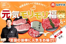 【元気モリモリ福袋】宮崎牛切り落とし・鉄板焼き用サーロイン2枚セット_AE-2501_(都城市)  A4 4等級 牛肉 牛バラ切り落とし肉 牛ウデ 牛モモ切り落とし肉 各500g