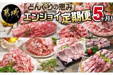 「どんぐりの恵み豚」エンジョイ定期便(5ヶ月)_T40(5)-1102_(都城市) 万能スライスセット キャンプ飯セット こま切れセット しゃぶしゃぶセットなど 毎月お届け 小分け 豚肉セット 冷凍 いろんな部位 都城市 豚肉 ロース バラ モモ ウデ スライス スペアリブ 切り落とし ステーキ しゃぶしゃぶ