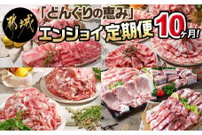 「どんぐりの恵み豚」エンジョイ定期便(10ヶ月)_T80(10)-1102_(都城市) スライスセット 焼肉 スペアリブ こま切れ しゃぶしゃぶセット ブランド豚 10ヶ月 毎月お届け 毎日のお料理に 都城市 豚肉 ロース バラ モモ ウデ スライス スペアリブ 切り落とし ステーキ しゃぶしゃぶ