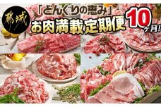 「どんぐりの恵み豚」お肉満載定期便(10ヶ月)_T120(10)-1102_(都城市) 豚肉 ロースかつ 豚バラスライス 肩ローススライス こま切れ 切落し スペアリブ ロースしゃぶ バラしゃぶ 肩ロースしゃぶ