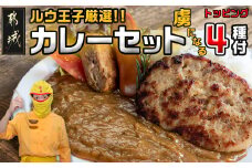 ルウ王子厳選カレーセット プロが選ぶカレーをも～っと楽しめるトッピング4種付_MJ-2707_(都城市) ビーフカレー 10食分 チキン南蛮 豚バーグ メンチカツ チーズフランク 観音池ポーク キャンプ BBQ おかず
