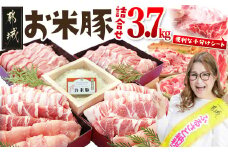 お米豚3.7kgセット_23-3101_(都城市) 豚肉 豚ロース 豚こま切れ 豚バラ肉 豚肩ロース ブランド豚 小分け スライス肉  ギャル曽根さんおすすめの豚肉返礼品