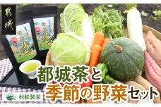 都城茶と都城産季節の野菜セット_AA-3701_(都城市) 都城茶  ニンニク じゃがいも 季節の野菜 産地直送 粉末煎茶 ホット アイス 葉物野菜菜 旬 詰め合わせセット