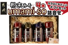 粉末みそ umami・so 詰合せ_AA-F202_(都城市) 発酵食品 粉末味噌 柚子 ゆず 胡麻 ごま スパイス ふりかけにも 調味料 隠し味 醤油 フレーバー 大豆 麦 料理 贈答 伝統 パウダー
