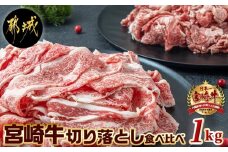 宮崎牛切り落とし食べ比べ1kg_AC-2521_(都城市) 牛肉 ブランド和牛 牛バラ切落し肉 ウデ モモ切落とし肉 500g 薄切り肉 牛バラスライス 牛小間切れ 国産黒毛和牛 お取り寄せ グルメ
