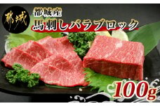 都城産馬刺しバラブロック100g_AA-0102_(都城市) 都城桜肉 馬バラブロック肉 生姜 醤油付き 高タンパク 低カロリー 高ミネラル 低脂肪 真空パック 化粧箱でお届け ギフト 贈答用 馬バラ肉 南九州