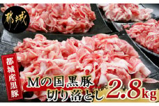 都城産黒豚「Mの国黒豚」切り落とし2.8kg_MJ-0108_(都城市) 豚肉2.8キロセット ウデモモ 切り落とし ブランド豚 切落とし肉 400g×7パック 銘柄豚 豚肉セット 小分け パック