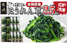 宮崎県産(IQF冷凍)ほうれん草2.5kg_AA-1527_(都城市) カット済ほうれん草 おひたし 冷凍野菜 IQF冷凍 急速冷凍 必要な分だけ 250g×10P フードロス対策 常備野菜 炒め物