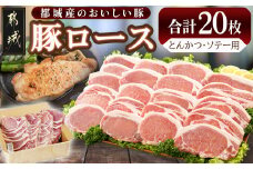 豚ロースとんかつ・ソテー用20枚 - _AA-2506_ ( 都城市 ) 豚肉 豚ロース とんかつ ソテー 100g×5枚×4パック 計20枚 豚 真空パック 冷凍保存