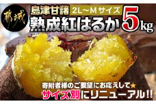 島津甘藷　熟成紅はるか 5kg(2L～M) _LD-A701_(都城市) さつまいも 幻のサツマイモ 幻の品種 紅はるか 5kg 2L～M べにはるか 芋 生芋 焼き芋に!! ベジエイト 熟成 芋 定番 焼き芋 アウトドア