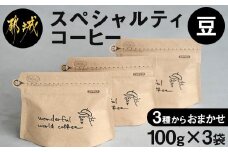 スペシャルティコーヒー(豆)100g×3袋セット_12-C502_(都城市) コーヒー豆 ダークロースト・ミディアムロースト・ライトロースト お任せで3袋 計300g 焙煎の違い 焙煎時間 風味 コク 酸味 甘み 珈琲豆