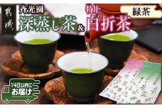 深蒸し茶＆特上白折茶詰合せセット※ポスト投函≪みやこんじょ快速便≫_LC-C301-R_(都城市) ふかむし茶 白折茶 各90g 緑茶 茶葉 茎茶 かりがね 棒茶