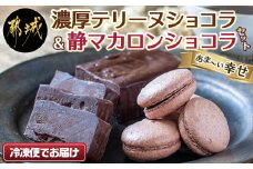 濃厚テリーヌショコラ＆静マカロンショコラセット_LG-C203_(都城市) カカオ分72％ チョコレート好きに 洋菓子 おやつ スイーツ 冷凍 ごほうびスイーツ 贈答 プレゼント