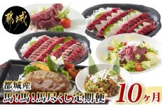 都城産馬!馬!馬尽くし定期便(10ヵ月)_T80(10)-0101_(都城市) 定期便 馬刺しブロック ロース 赤身 タテガミ フタエゴ 馬ハンバーグ 馬生ハム 馬すじ煮込み 10ヵ月定期便