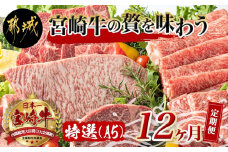 特選(A5)宮崎牛の贅を味わう (12ヶ月定期便)_TAH12-0102_(都城市) 宮崎牛 5等級 12ヶ月定期便 サーロイン芯スライス モモスライス シャトーブリアンステーキ 特上モモステーキ ロース焼肉用 ヒレステーキ