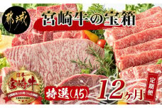 特選(A5)宮崎牛の宝箱 (12ヶ月定期便)_TAH12-0101_(都城市) 宮崎牛 5等級 12ヶ月定期便 サーロイン芯スライス モモスライス シャトーブリアンステーキ 特上モモステーキ ヒレサイコロステーキ モモ焼肉用