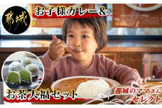 都城のママさんセレクト！親子で嬉しいお子様カレー＆お茶大福セット_AA-2704_(都城市) 中辛 甘口 各180g×6 大福(5個) チルド 便利 ご飯 おやつ デザート お茶菓子 camp バーベキュー キャンプ BBQ
