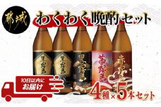 わくわく晩酌4種900ml×5本セット ≪みやこんじょ特急便≫_17-6701_(都城市) 焼酎 黒霧島EX 黒霧島 茜霧島 赤霧島 25度 900ml