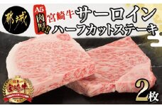 【A5】肉厚!宮崎牛サーロインハーフカットステーキ2枚_AD-0112_(都城市) 最高級A5ランク 宮崎牛サーロインステーキ 200g×2枚 ステーキソース 塩コショウ付 ギフト 贈答用