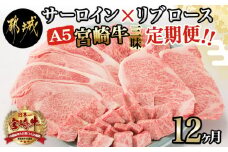 【A5】宮崎牛サーロイン×宮崎牛リブロース三昧定期便(12ヶ月)_TAE12-0101_(都城市) 都城産宮崎牛 牛肉 スライス サイコロ 焼肉 ステーキ サーロイン リブロース