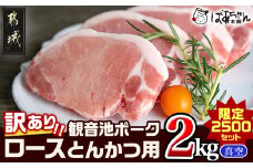 【訳あり】≪限定2500セット≫観音池ポークロースとんかつ用(真空)2kg_13-1507 _(都城市) 訳アリ 豚肉 とんかつ 宮崎県ブランドポーク認定 観音池ポーク 大きさ不揃い 真空 個包装 豚ロース肉 トンカツ用 ご家庭用 冷凍 とんかつ トンテキ ブランドポーク