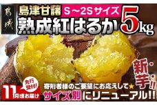 先行受付!【11月お届け】島津甘藷　熟成紅はるか 5kg(S～2S)_LD-A701-m-11_(都城市) 島津甘藷 紅はるか サツマイモ 未選別 5kg S～2S 新芋 おやつ お菓子作り 料理