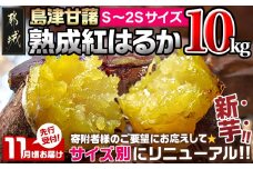 先行受付!【11月お届け】島津甘藷　熟成紅はるか 10kg(S～2S)_AA-A701-m-11(都城市) 島津甘藷 紅はるか サツマイモ 未選別 10kg S～2S 新芋 おやつ お菓子作り 料理