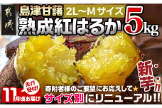 先行受付!【11月お届け】島津甘藷　熟成紅はるか 5kg(2L～M)_LD-A701-11_(都城市) 島津甘藷 紅はるか サツマイモ 未選別 5kg 2L～M 新芋