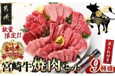 【数量限定】宮崎牛9種盛り焼肉セット_22-3101_(都城市) 宮崎牛 ラムシン マルシン イチボ サーロイン ザブトン 肩ロース ショートリブ カルビ 内モモ ギフト 贈答用 牛肉 タレ付き 肉 国産
