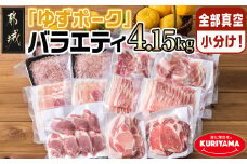 全部真空小分け！都城産豚「ゆずポーク」バラエティ4.15kgセット_22-1402_(都城市) 豚肉 豚肉セット ゆずポーク 豚肉 ロース バラスライス モモスライス 小間切れ ミンチ ヒレとんかつ 真空 小分け ポーク 豚 スライス