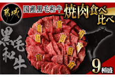 【国産黒毛和牛】焼肉食べ比べ 9種盛 各種80g_AE-E902_(都城市) 国産黒毛和牛 焼肉用 ヒレ リブロース サーロイン 肩ロース ウチモモ イチボ ランプ カタ ミスジ 各80g
