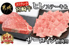 A5 宮崎牛 ヒレステーキ&サーロイン焼肉用_AF-0109_(都城市) 都城産宮崎牛 A5ランク ヒレステーキ 100g×2枚 サーロイン焼肉用 400g ギフト 贈答用