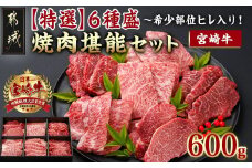 ≪希少部位ヒレ入り!≫ 宮崎牛【特選】6種盛 焼肉堪能セット 600g_24-6502_(都城市) 宮崎県産 宮崎牛 焼肉6種盛 各100g ロース 肩ロース ヒレ ウデ バラ モモ 国産牛 ブランド牛 ギフト 贈答用にも