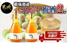 都城酒造 ほろ酔い梅酒2本≪みやこんじょ特急便≫_AO-6701_(都城市) プレミアム梅酒 14度 500ml 2本 都城酒造 梅酒
