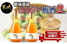 都城酒造 ほろ酔い梅酒2本≪みやこんじょ特急便≫_AO-6701_(都城市) プレミアム梅酒 14度 500ml 2本 都城酒造 梅酒