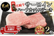 【A5】肉厚！宮崎牛サーロインハーフカットステーキ2枚≪みやこんじょ特急便≫_AD-0112-Q_(都城市) A5ランク 都城産宮崎牛 真空 サーロイン ハーフカットステーキ 200g×2枚 ステーキソース 塩コショウ