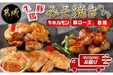 牛・豚・鶏ももみそ焼きセット(牛ホルモン・豚ロース・若鶏もも)≪みやこんじょ特急便≫_AA-I601-Q_(都城市) 国産 真空 牛ホルモンみそ焼き用 豚ロース肉みそステーキ用 若鶏ももみそ焼き用