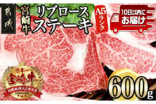 宮崎牛(A5)リブロースステーキ300g×2枚≪みやこんじょ特急便≫_AD-0103-Q_(都城市) 5等級 ステーキ用肉 300g×2枚セット ブランド牛肉 ブランド国産黒毛和牛 脂の旨味 ギフト 贈答用