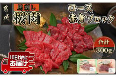 都城産「桜肉」馬刺し ロース・赤身ブロック300gセット≪みやこんじょ特急便≫_MJ-0119-Q_(都城市) 都城産馬刺 ロースブロック 赤身ブロック 各150g×1 真空 醤油 生姜の小袋付き 桜肉 馬刺し