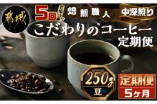 5回お届け!焙煎職人こだわりのコーヒー定期便【豆】250g 小分けパック(ジッパー・バルブ付) ※中深煎り※ポスト投函_TLA5-3302_(都城市) コーヒー豆 焙煎 豆 ジッパー バルブ付