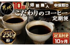 10回お届け!焙煎職人こだわりのコーヒー定期便【粉】250g 小分けパック(ジッパー・バルブ付) ※中深煎り※ポスト投函_TLA10-3301_(都城市) コーヒー 焙煎 粉 ジッパー バルブ付 250g 