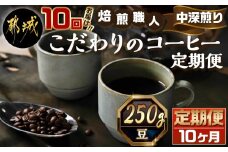 10回お届け!焙煎職人こだわりのコーヒー定期便【豆】250g 小分けパック(ジッパー・バルブ付) ※中深煎り※ポスト投函_TLA10-3302_(都城市) コーヒー 焙煎 豆 ジッパー バルブ付 250g 
