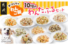 手づくり☆わんご飯『10種のわんだふるセット』_AC-J501_(都城市) 犬用 手づくりご飯 鶏ごぼうご飯 サーモンリゾット すき焼き風ご飯 とまとスープご飯 ぶり大根 馬肉ッパ 牛しぐれ等 ペットフード