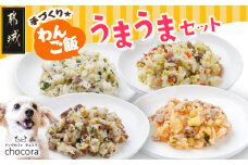 手づくり☆わんご飯『うまうまセット』_12-J501_(都城市) 犬用 手づくりご飯 ぶり大根 馬肉ッパ 牛しぐれ 豚肉ポトフ ドッグフード ペットフード
